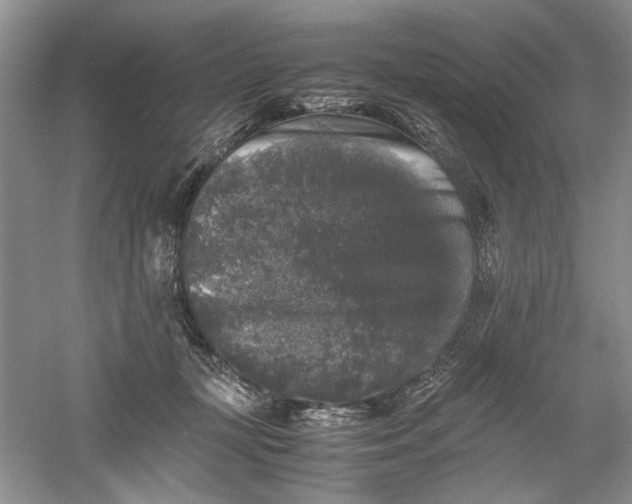 X0000061140367200512022254