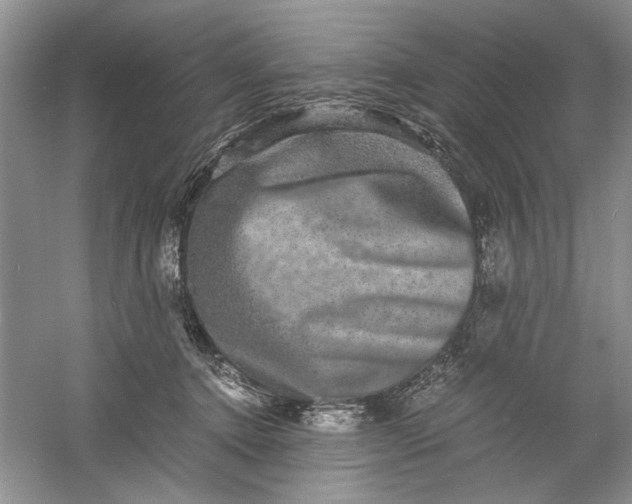 X0000061140368200512022254