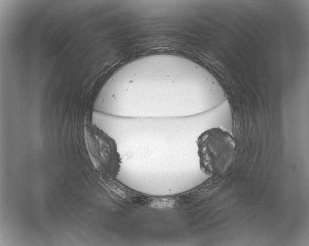 X0000061140369200512022254