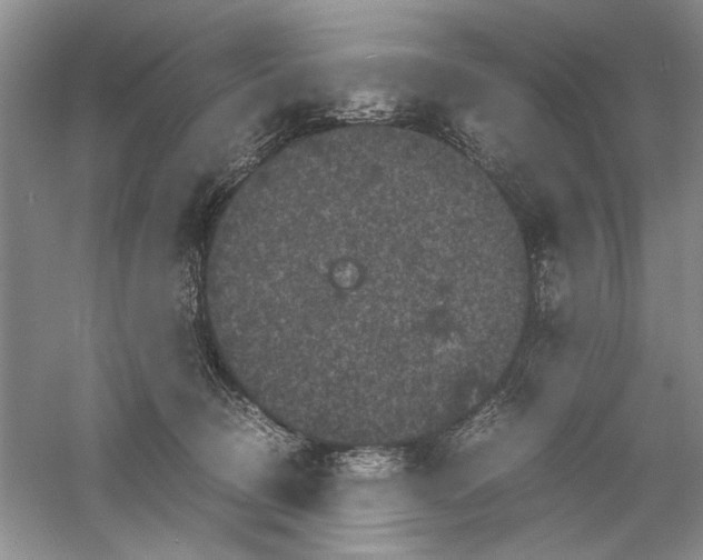 X0000061140370200512022254