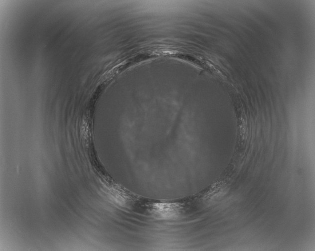 X0000061140371200512022254