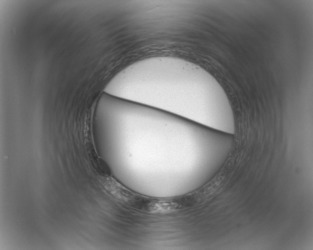 X0000061140372200512022254