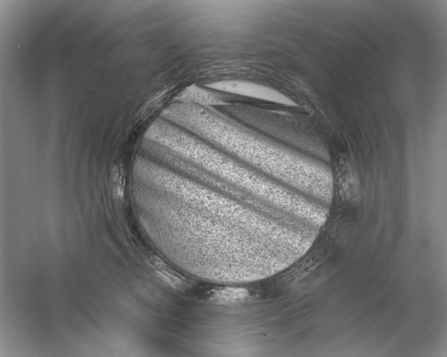 X0000061140374200512022254