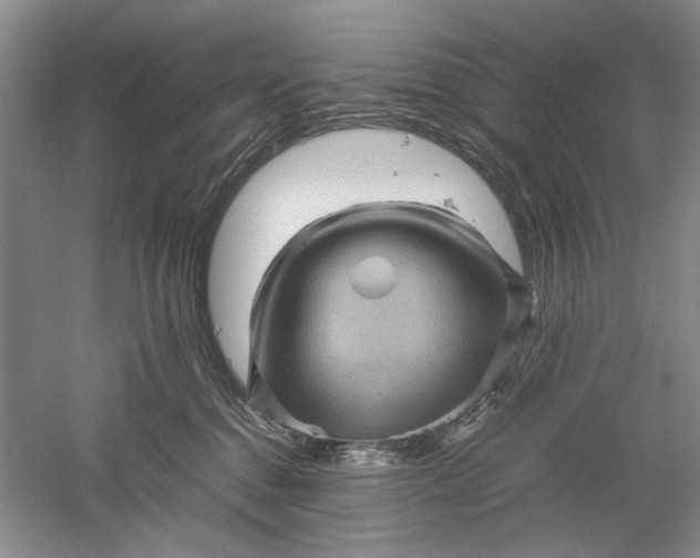 X0000061140376200512022254