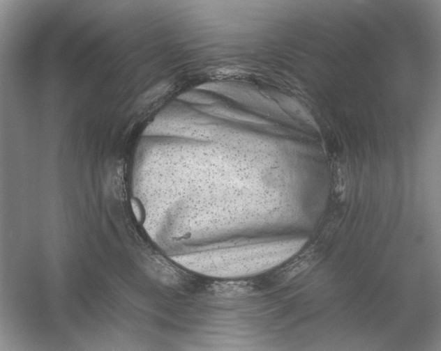 X0000061140378200512022254