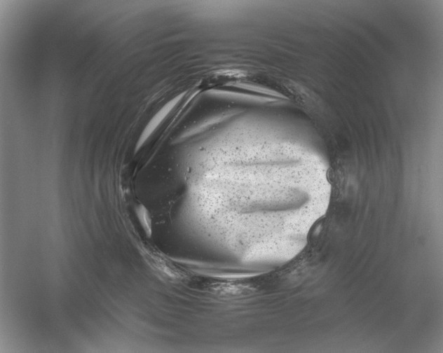 X0000061140379200512022254