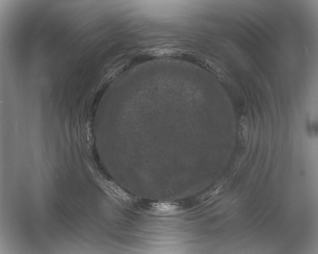 X0000061140380200512022254