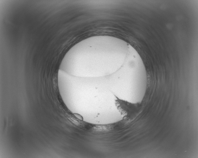 X0000061140381200512022254