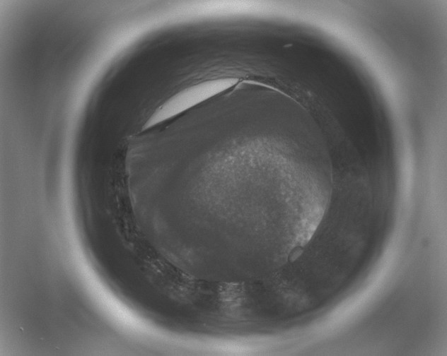 X0000061140382200512022254