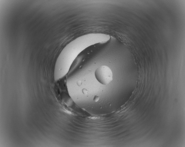 X0000061140383200512022254