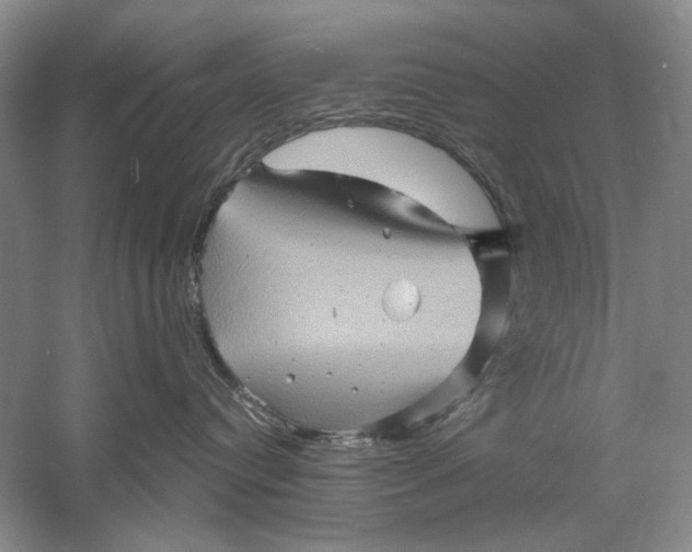 X0000061140384200512022254