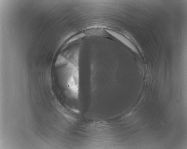 X0000061140386200512022253