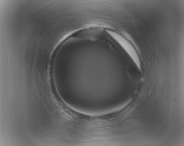 X0000061140387200512022253