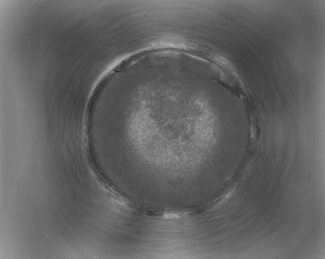 X0000061140388200512022253