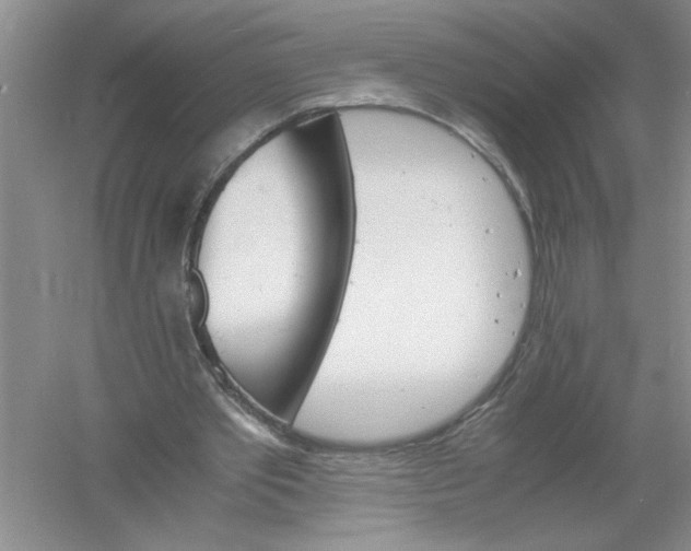 X0000061140389200512022253