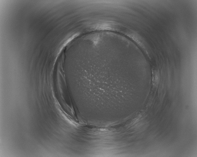 X0000061140390200512022253