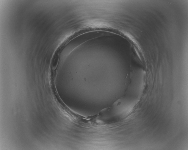 X0000061140391200512022253