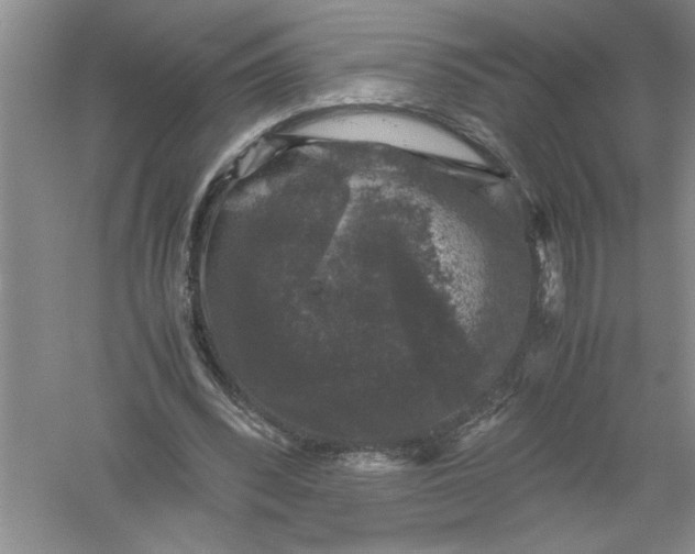 X0000061140392200512022253