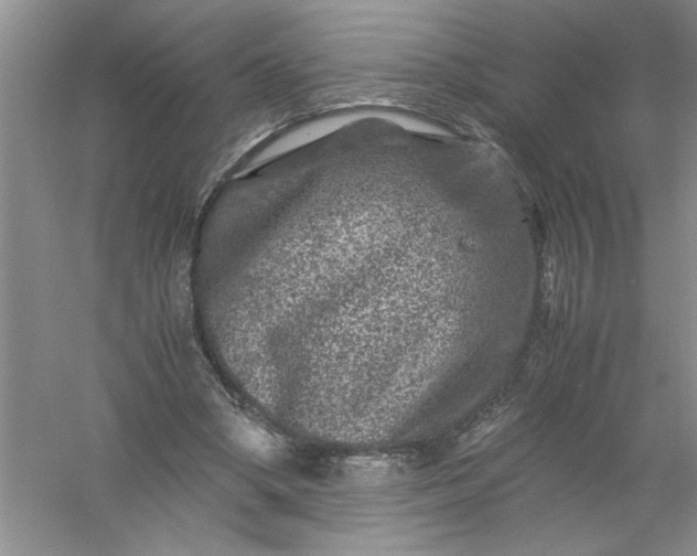 X0000061140394200512022253