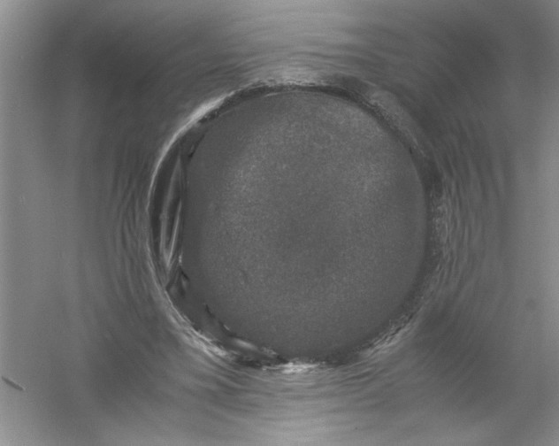 X0000061140395200512022253