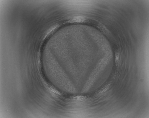 X0000061140396200512022253