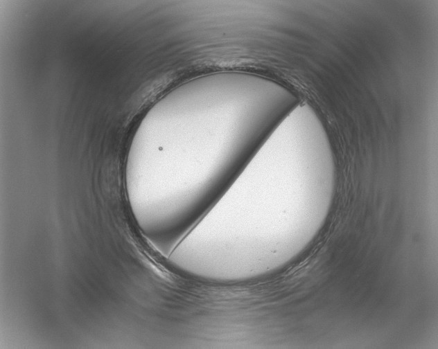 X0000061140397200512022253