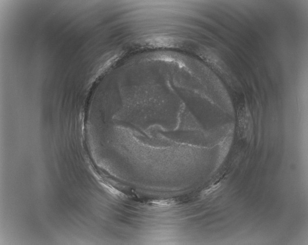 X0000061140398200512022253