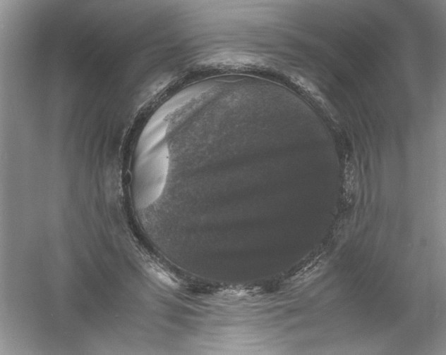 X0000061140399200512022253