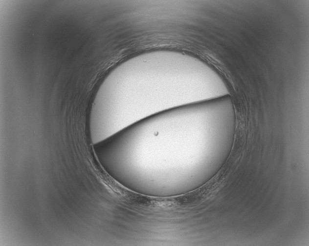 X0000061140401200512022253