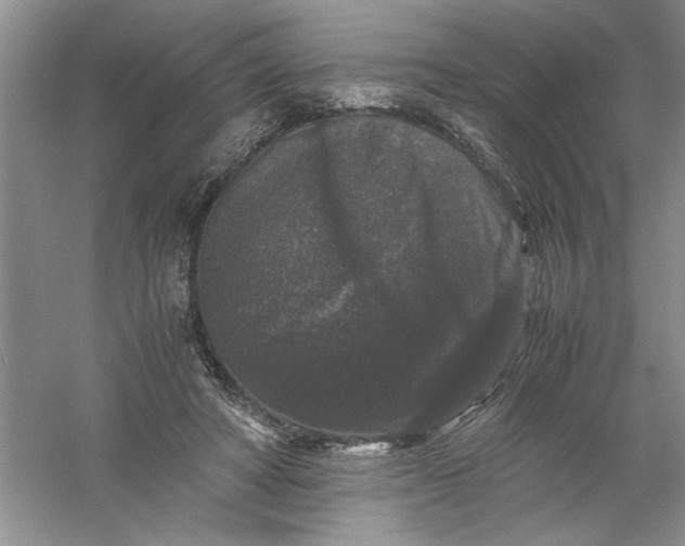 X0000061140402200512022253