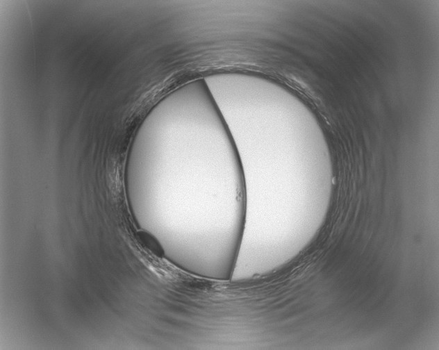 X0000061140405200512022253