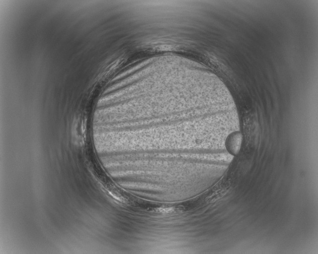 X0000061140406200512022253