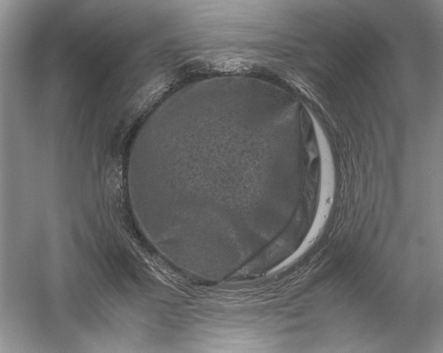 X0000061140407200512022253