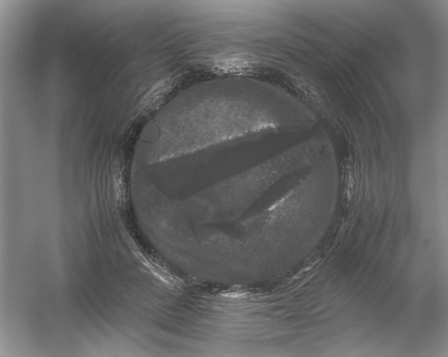 X0000061140408200512022253