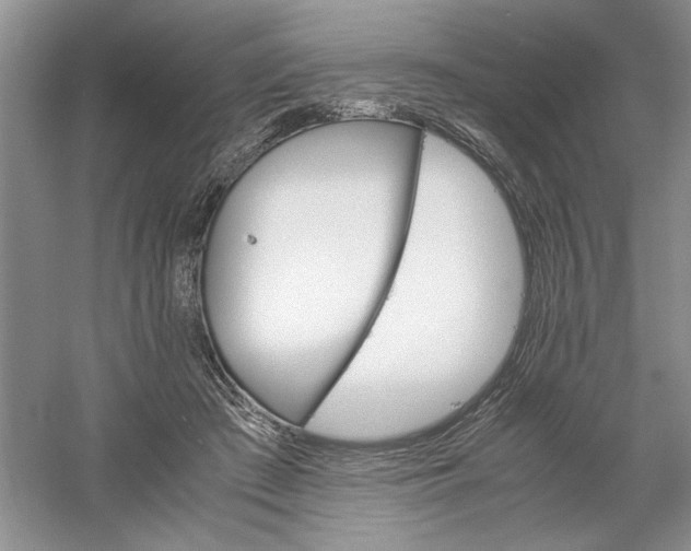 X0000061140409200512022253