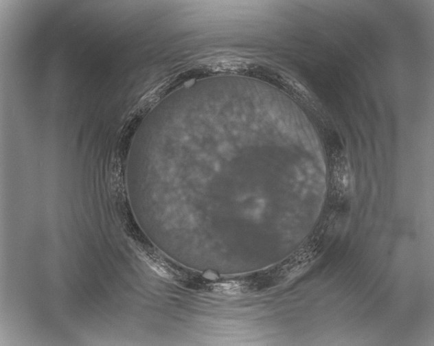 X0000061140411200512022253