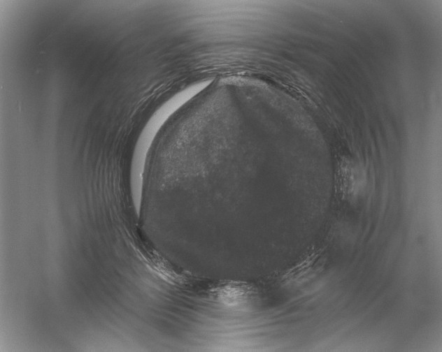 X0000061140412200512022253