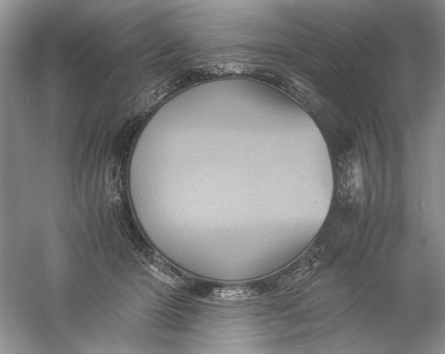 X0000061140414200512022253