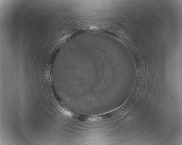 X0000061140415200512022253