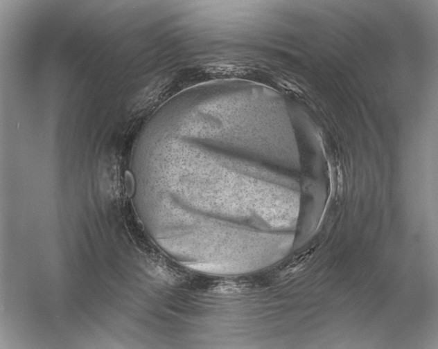 X0000061140416200512022253