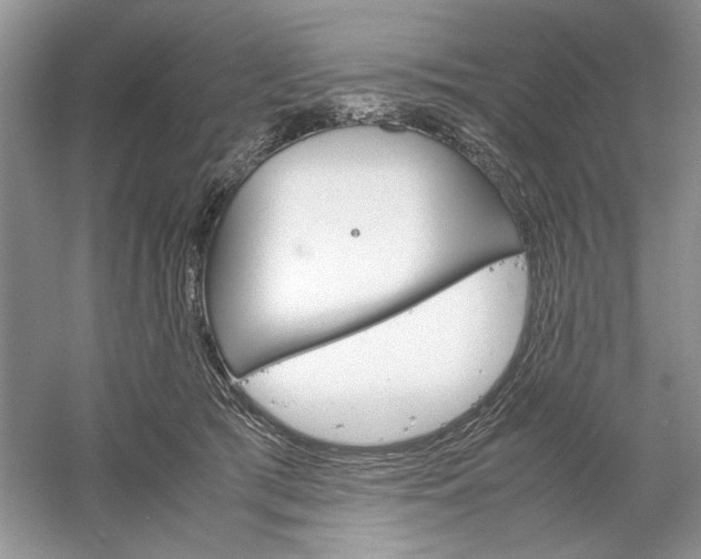 X0000061140417200512022253