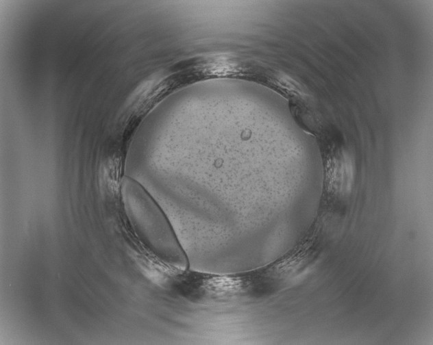 X0000061140421200512022252