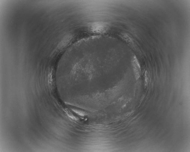 X0000061140424200512022252