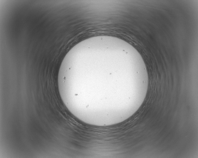 X0000061140425200512022252