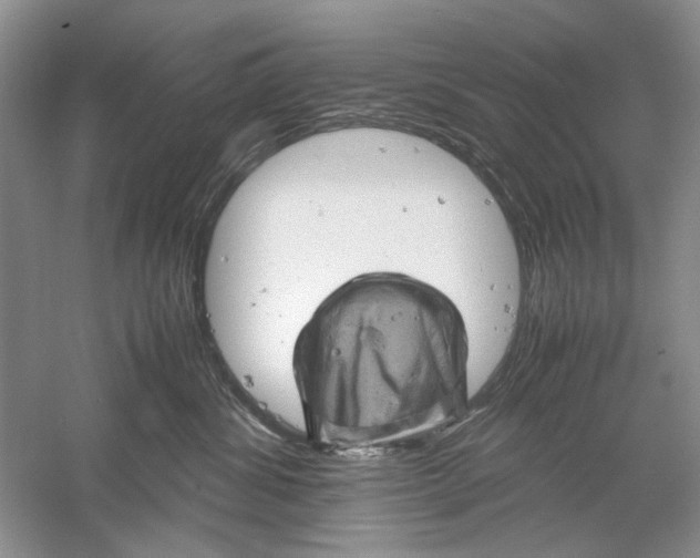 X0000061140428200512022252