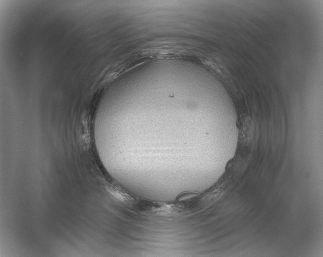 X0000061140430200512022252