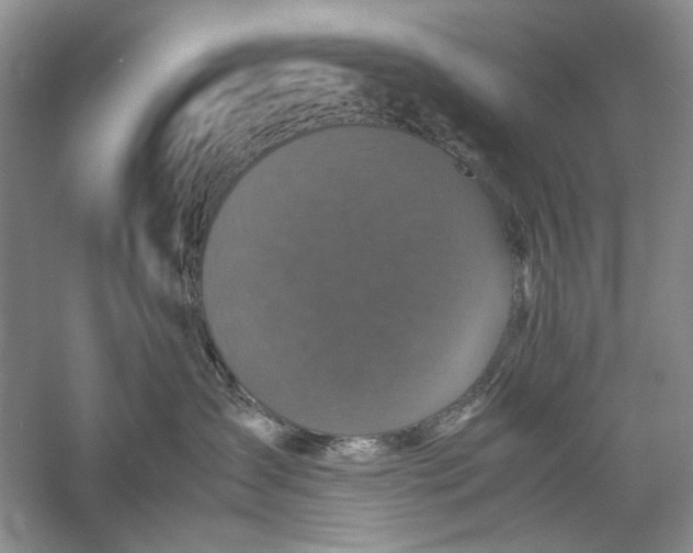 X0000061140431200512022252