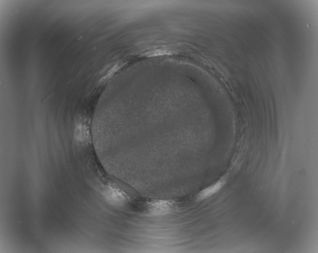 X0000061140432200512022252