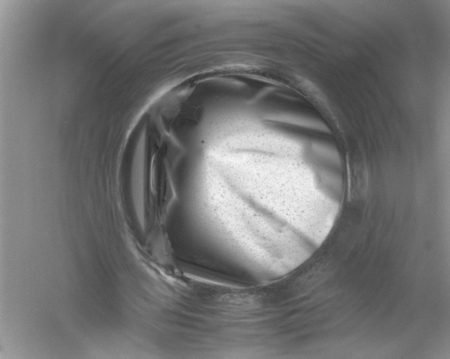 X0000061140435200512022251