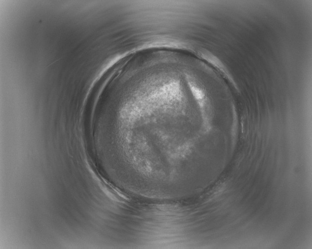 X0000061140436200512022251